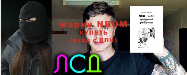 крисы Вязьма