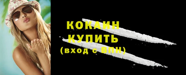 крисы Вязьма