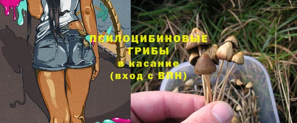 мяу мяу мука Вяземский