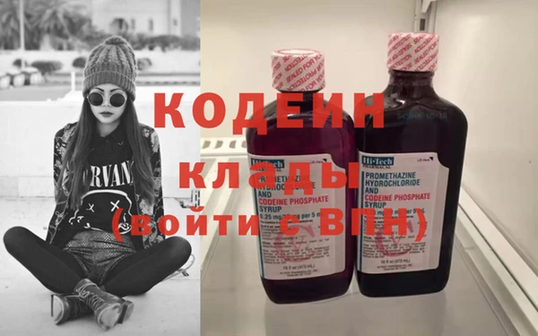 крисы Вязьма